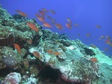 タイムシェア-知っておきたい“年間管理費”の知識 (その6)